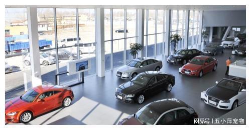 8200萬汽車消費(fèi)券成功發(fā)放，汽車銷售行業(yè)或迎新爆發(fā)